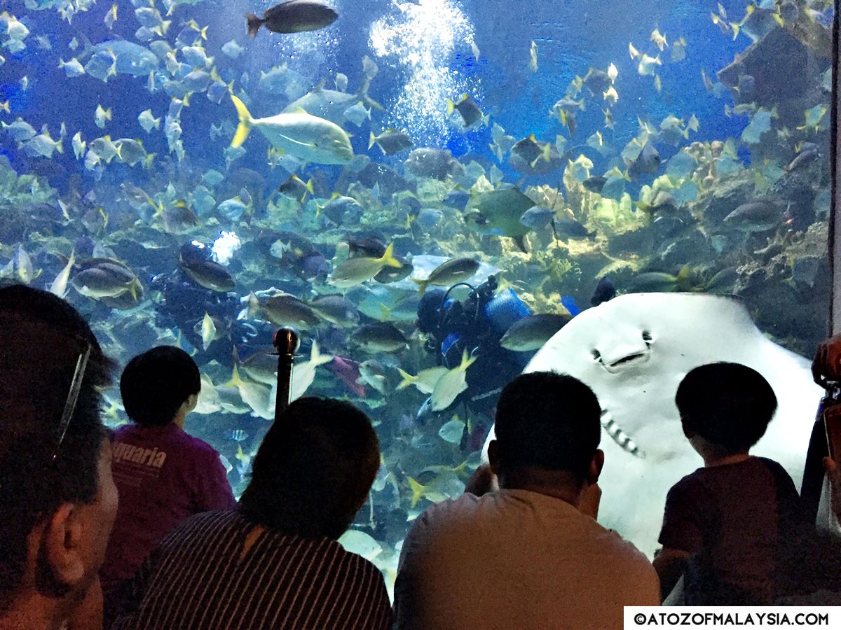 Aquatheatre, Aquaria KLCC A to Z of Malaysia