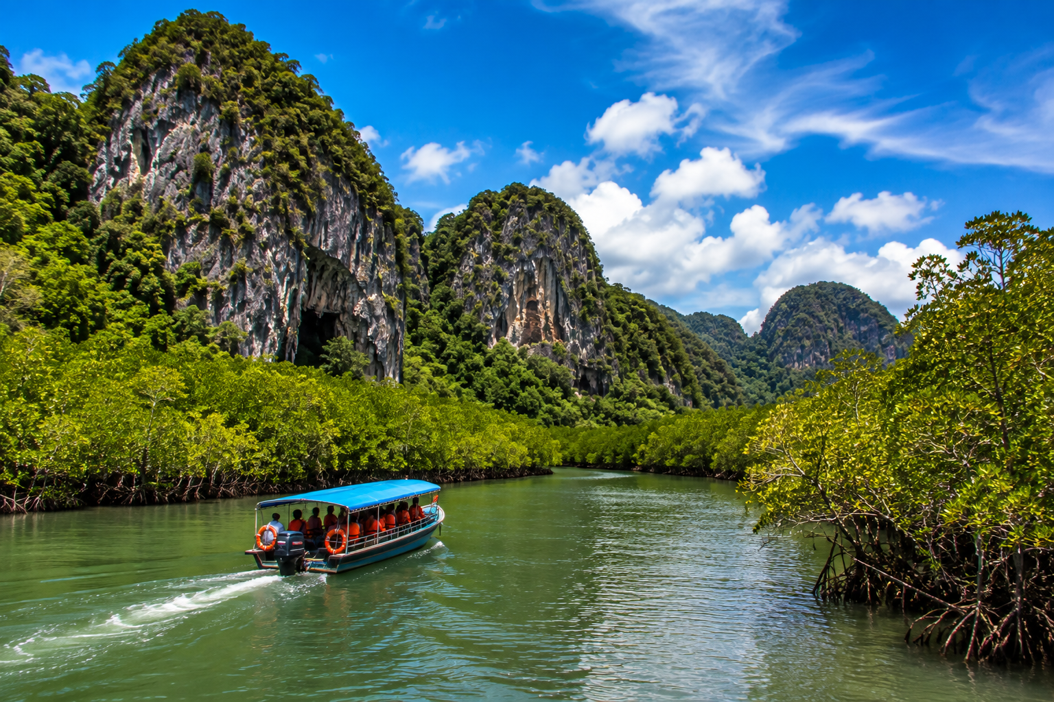 Mangrove boat tour through Kilim Geoforest Park Langkawi
